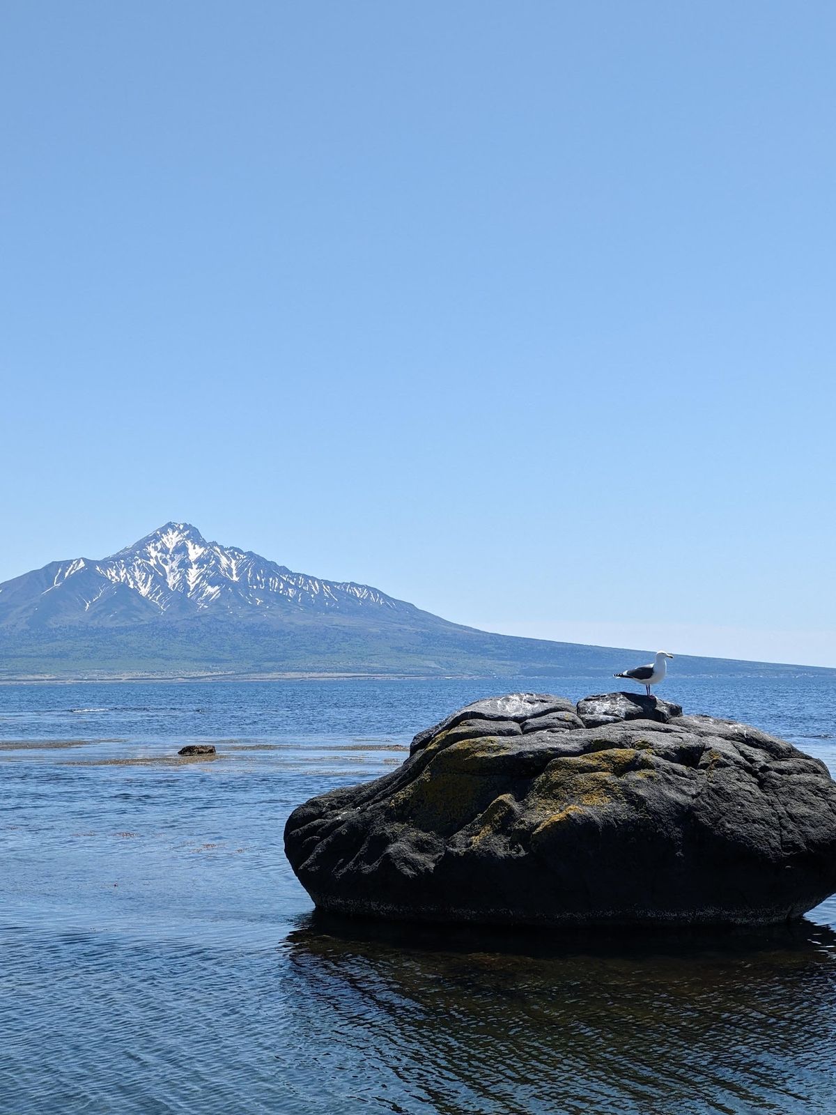 やばい、予定の半分の時間で2倍以上の距離を進んでしまった。
利尻島の最南部...