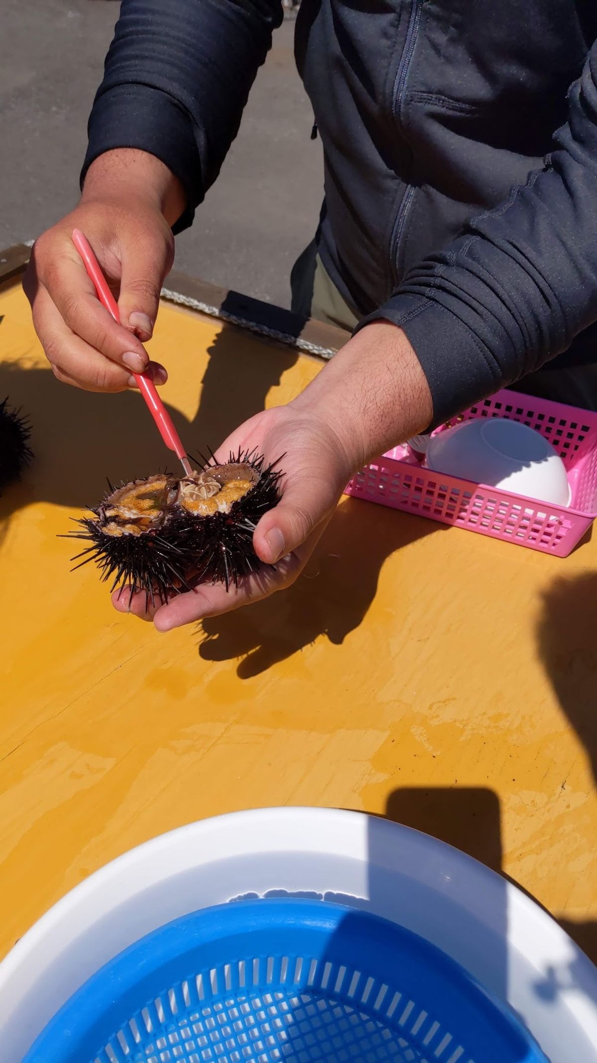 神居海岸パーク。
今はまだウニ漁が開始されていないのでとの店でもウニは食べ...