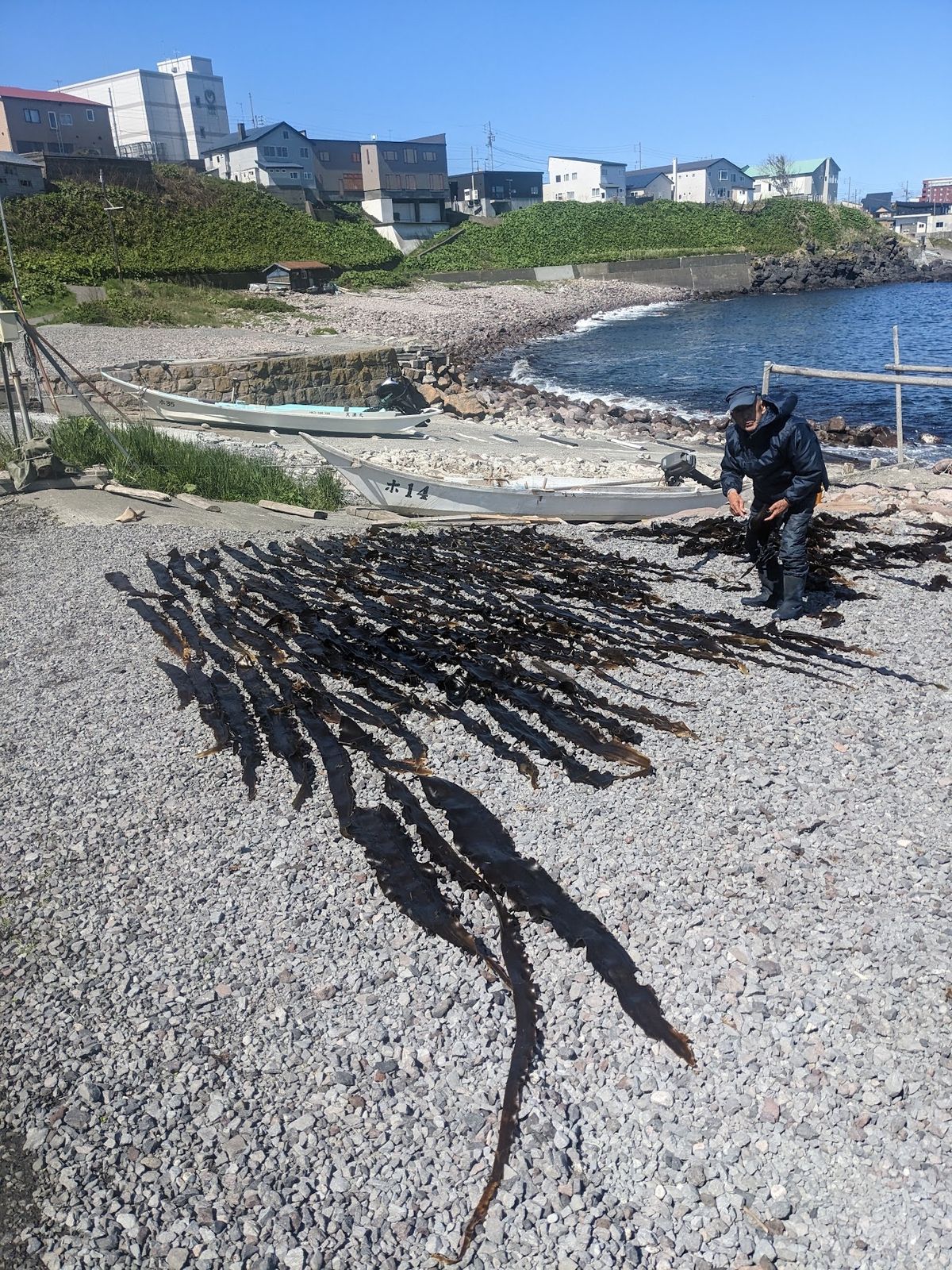 まずはペシ岬へ。
登る場所を探していると昆布を干しているおっちゃんに道を教...