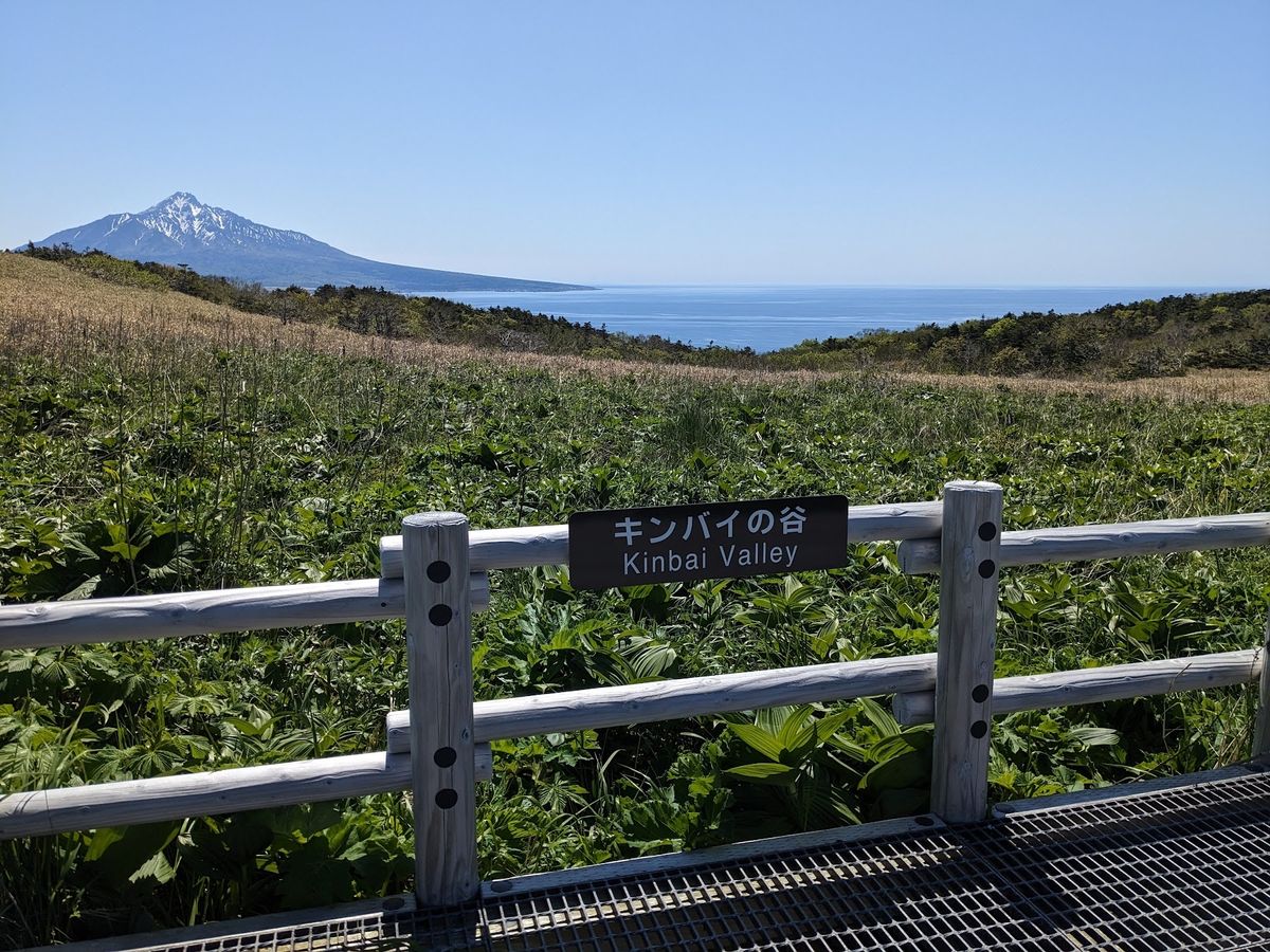 キンバイの谷。
よく分からないがとにかくここが最高なことは分かる。