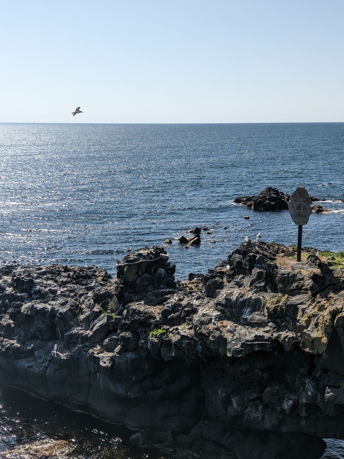 寝熊の岩、人面岩、龍神の岩、湧水。
帰り道、原付でコンテンツ一気見。
この...