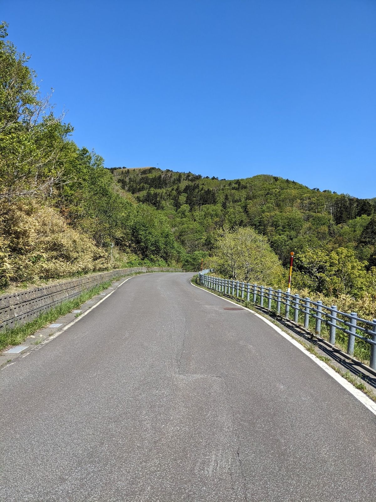 大悲報。
原付は全て昨日に借りられて利尻島に行ってしまったらしい。
13:...