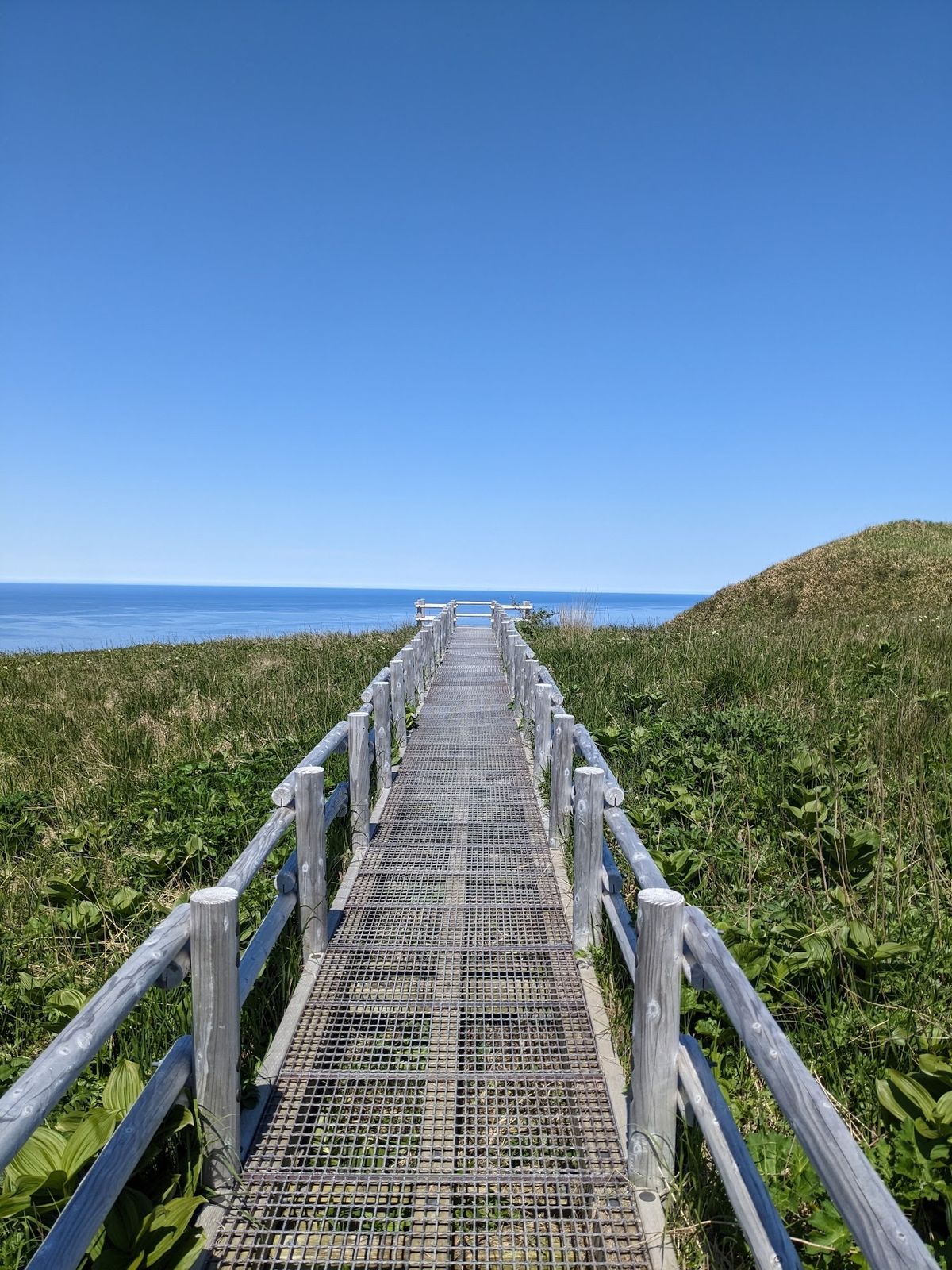 キンバイの谷。
よく分からないがとにかくここが最高なことは分かる。