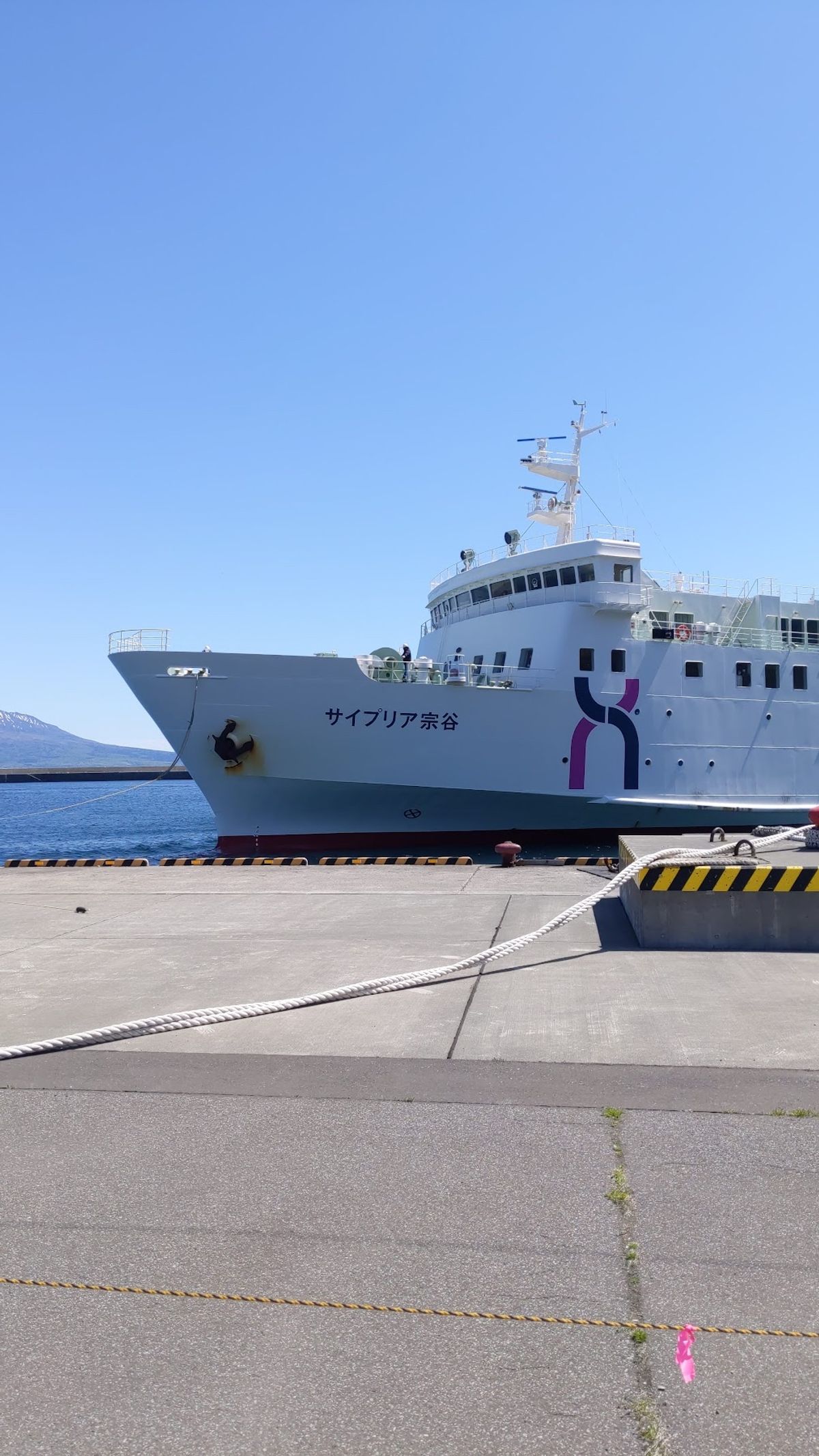 礼文島に上陸。
船の中では自衛隊の方達が隣にいて、フェリーも自衛隊の船の隣...
