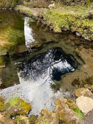 ここどこ？
忍野八海のエリアなのですが名前あったような気がする