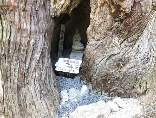 日本・山口県「両親との山口・福岡巡り」の写真：弁財天様と
別府弁天池と
秋芳白糸の滝。