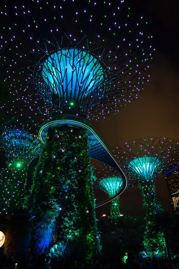 マレーシア・ランカウイ島「ランカウイ島お猿旅」の写真