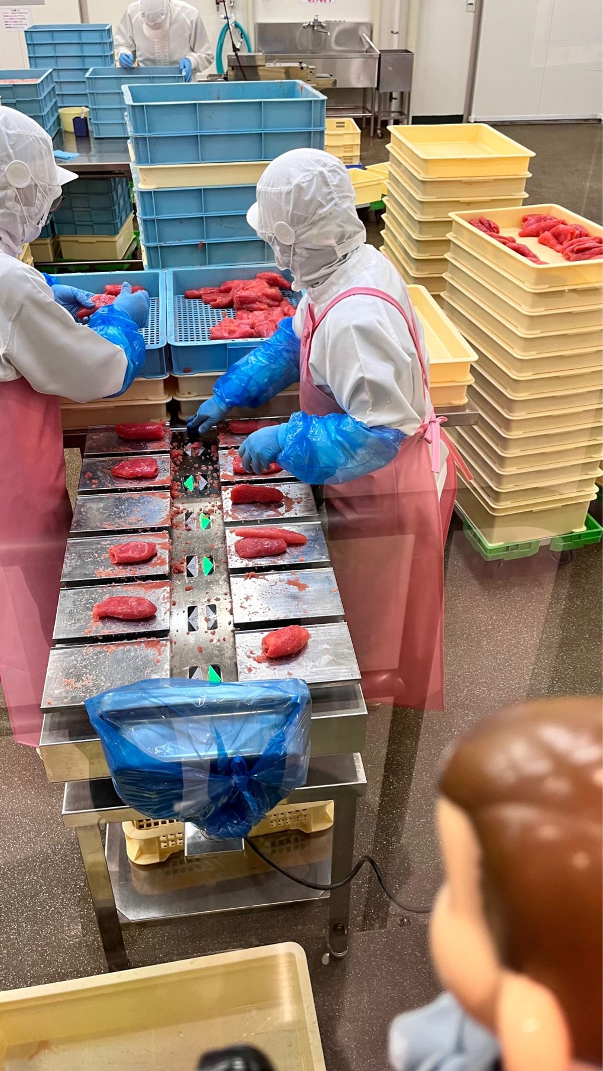 工場見学はココだけです。