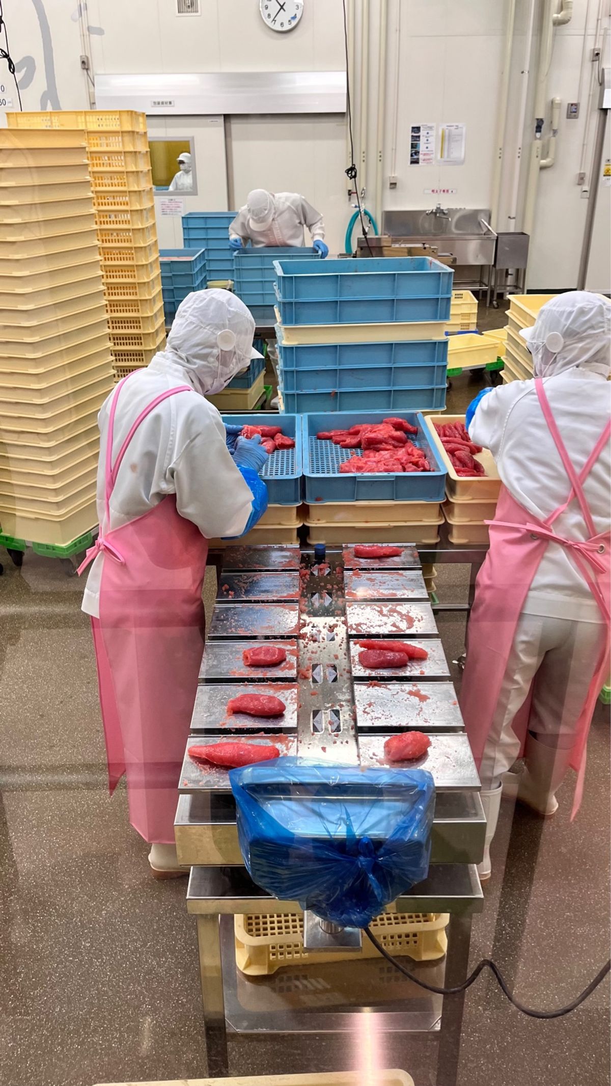 工場見学はココだけです。