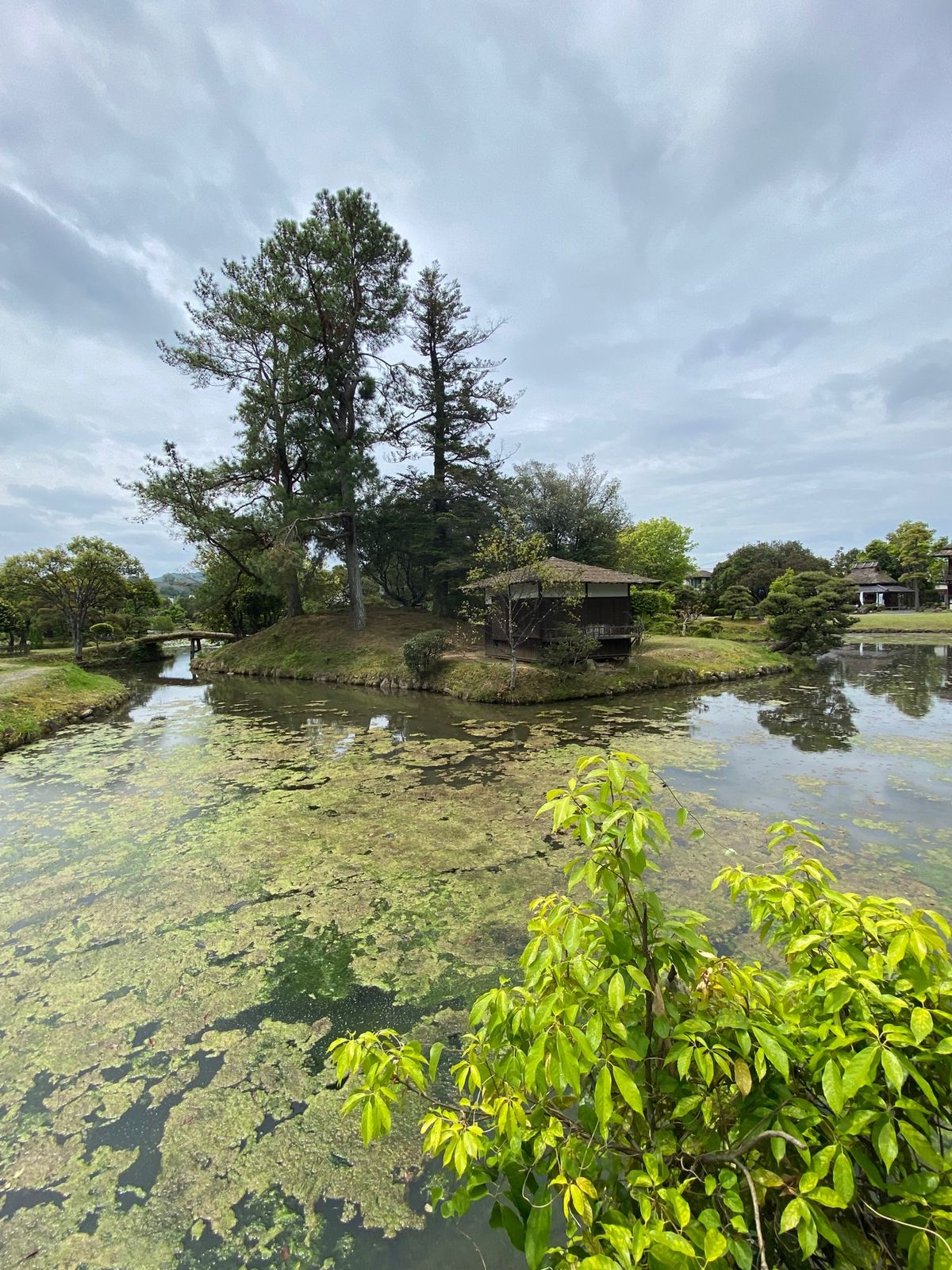 4日目。ほぼ帰るだけの日です。
高速に乗っても7時間はかかる帰り道ですか、...