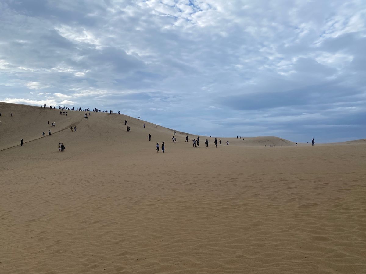 ニュースで大混雑と聞いてましたが
夕方に行ったのですぐ駐車場に停めれました...