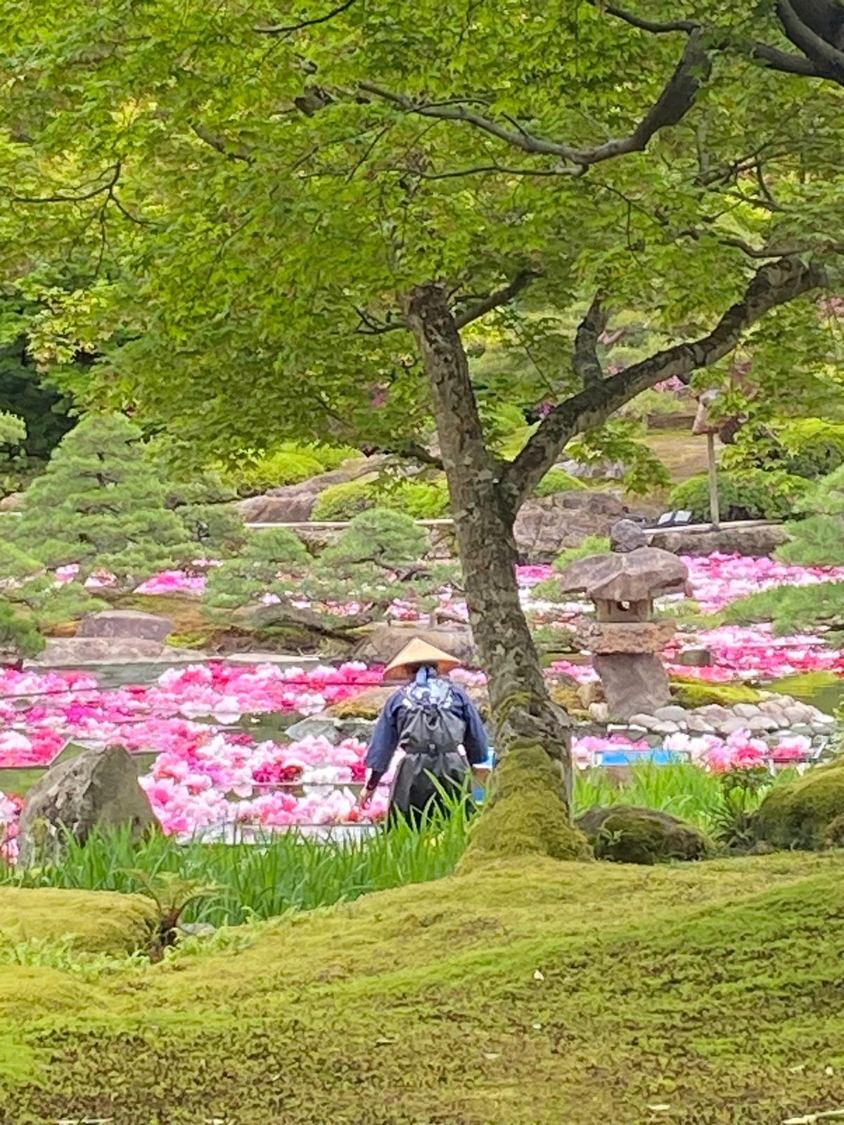 由志園（ゆうしえん）

松江と境港の間にある島、大根島は
ベタ踏み坂で有名...