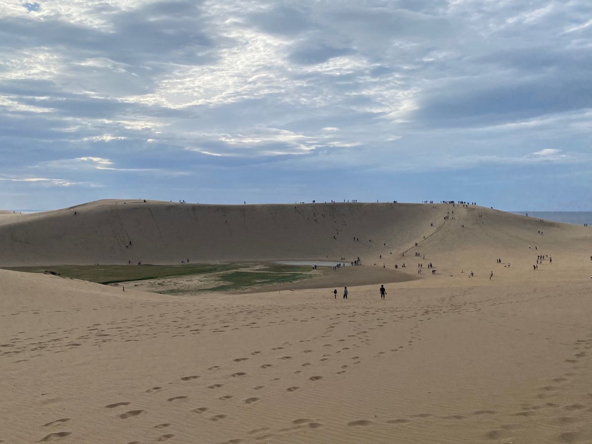 ニュースで大混雑と聞いてましたが
夕方に行ったのですぐ駐車場に停めれました...