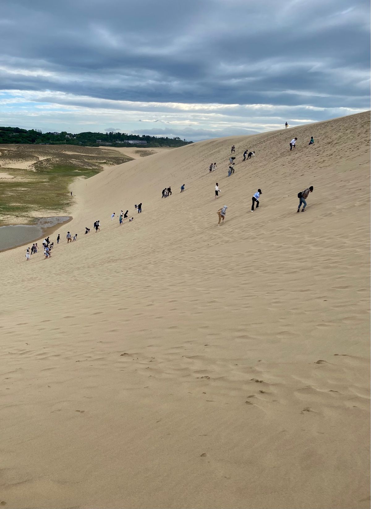 ニュースで大混雑と聞いてましたが
夕方に行ったのですぐ駐車場に停めれました...