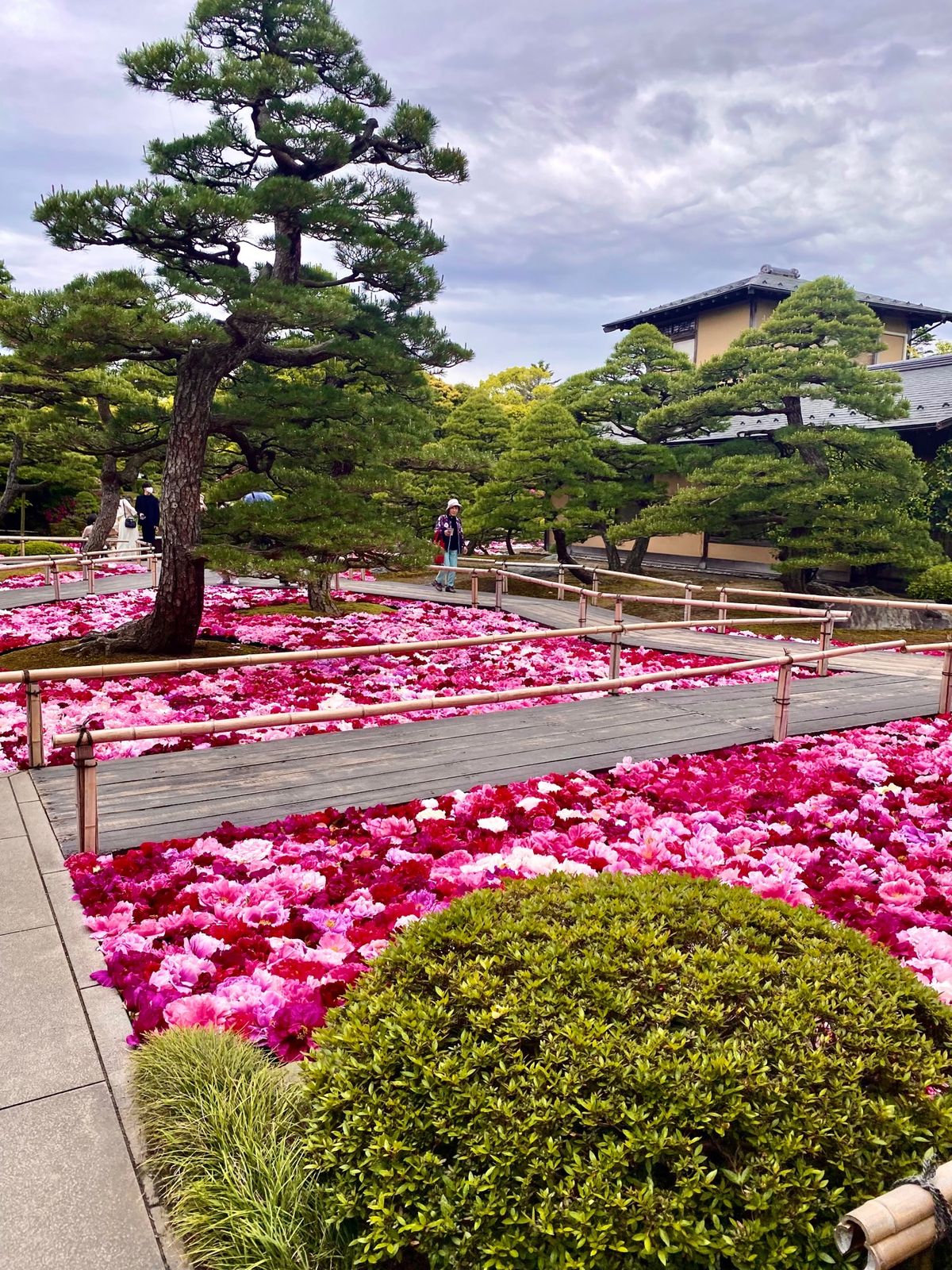 由志園（ゆうしえん）

松江と境港の間にある島、大根島は
ベタ踏み坂で有名...