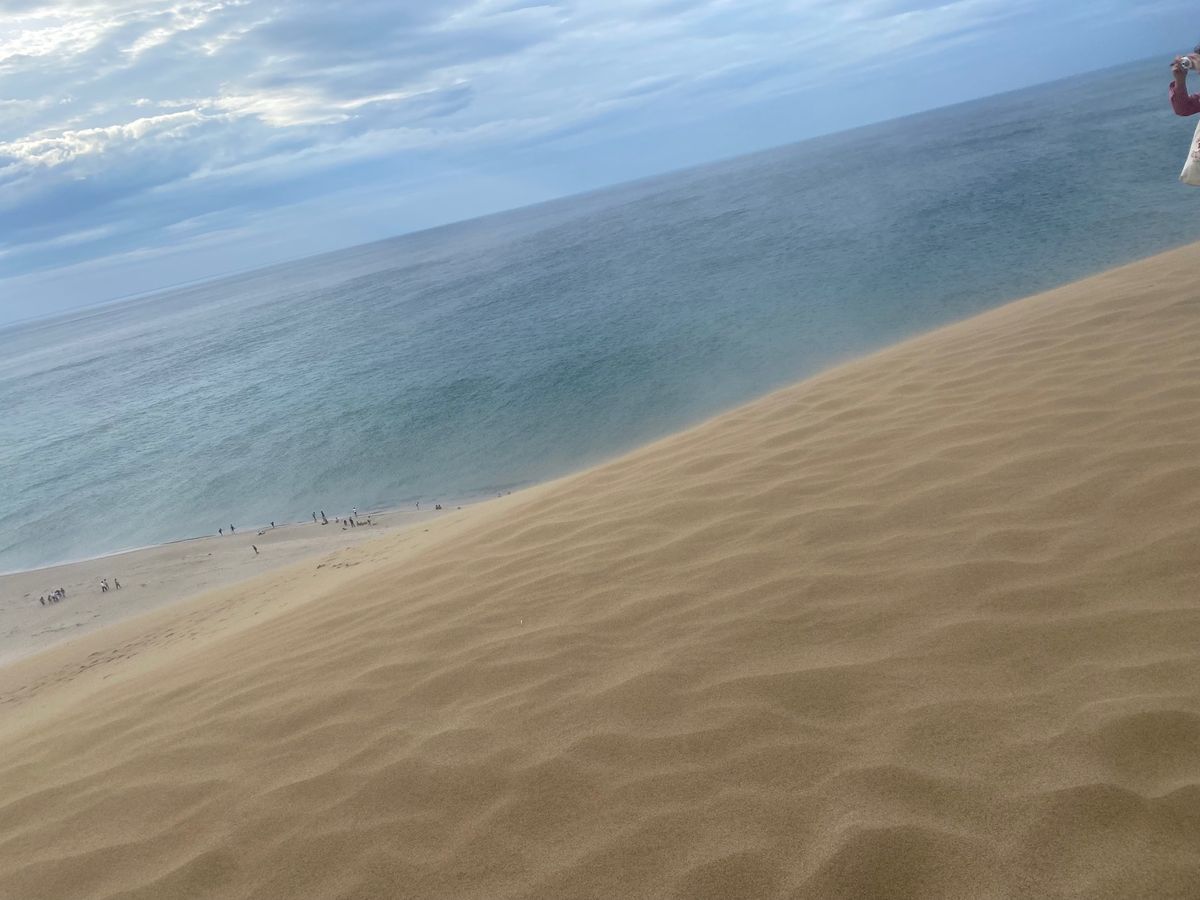 ニュースで大混雑と聞いてましたが
夕方に行ったのですぐ駐車場に停めれました...