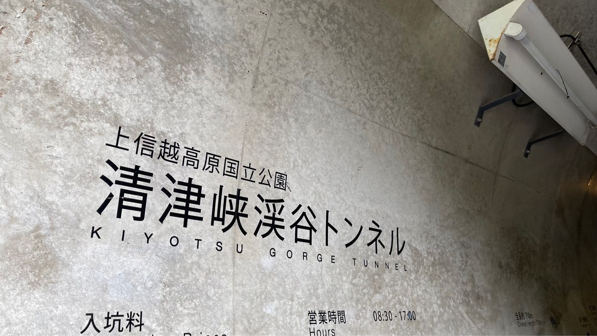 1枚目が最終絶景スポット
道中映えスポットもあり。