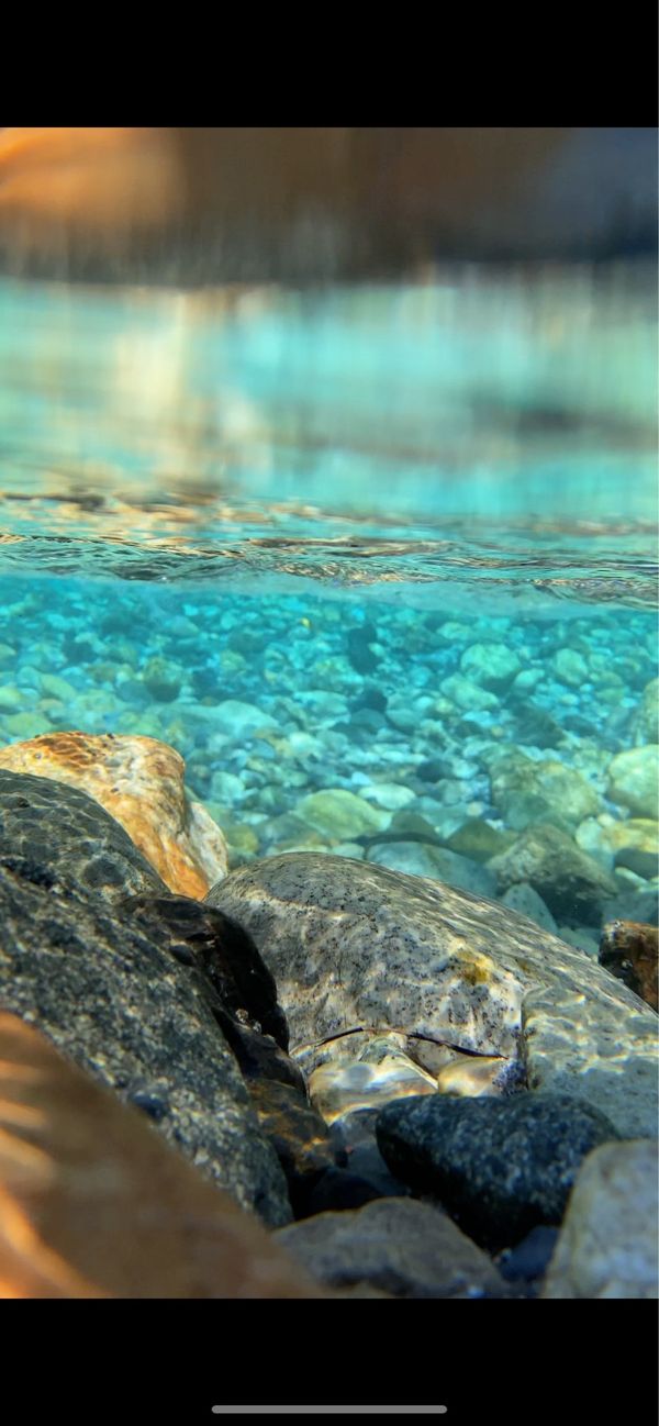 日本・長野県「上高地と御岳ロープウェイ」の写真：上高地　どこを歩いても景色が素晴らしい