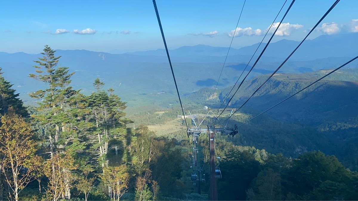 帰りに御岳ロープウェイに寄り道
山の上は涼しく空気が綺麗ですね。