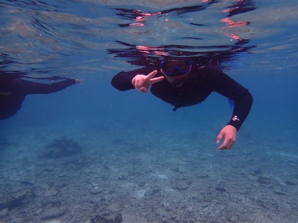日本・石垣島「今年2回目の石垣島」の写真：前回出来なかったサップとシュノーケリング
