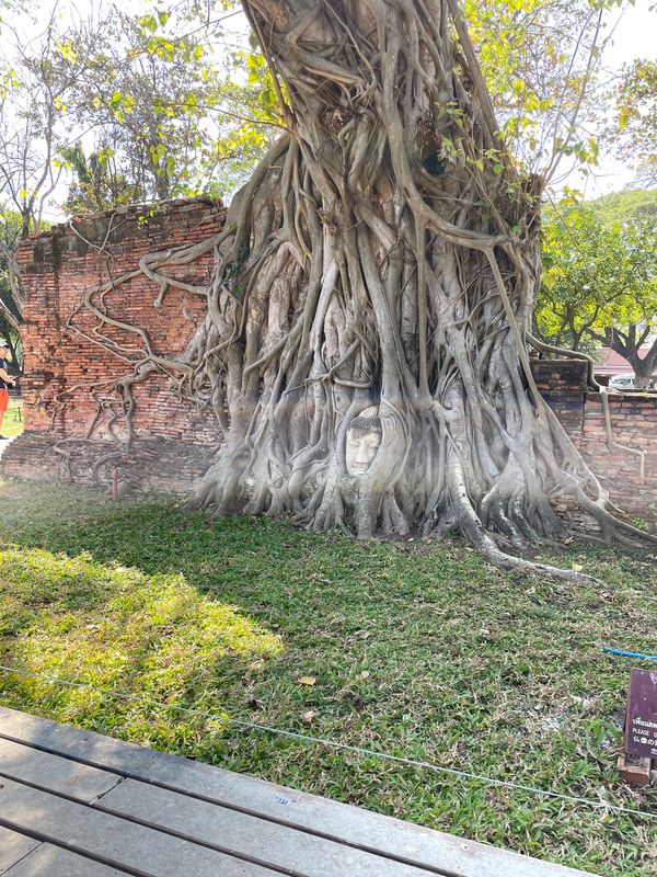 タイ「タイ　バンコク」の写真