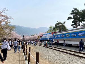 釜山国際空港から鎮海へはリッチにリムジンバスで･･･昌原行きで途中下車して...