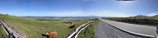 日本・長崎県「九州旅行(車中泊)」の写真：阿蘇山(火口)