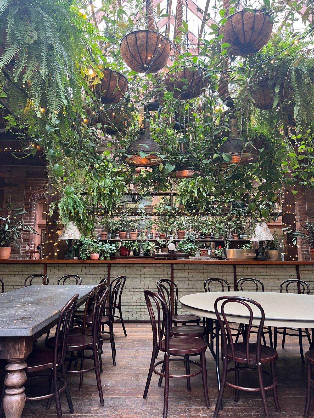 映えスポットたち