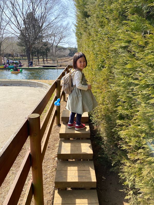 日本・茨城県「こもれび森のイバライド」の写真