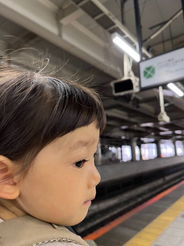 日本・神奈川県「ウイングシートで横須賀までお墓参り」の写真