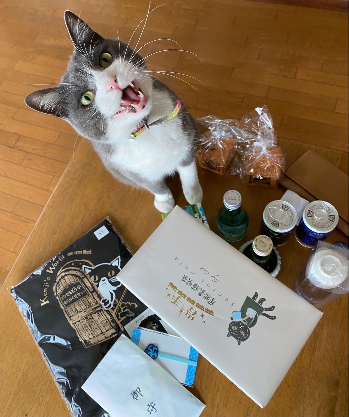 ありがたき御朱印もいただきながら。
お留守番ねこさんとお土産🐈‍⬛