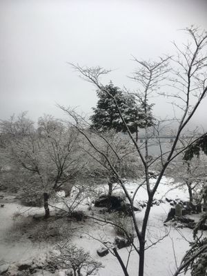 雲で山頂は見えませんでした。