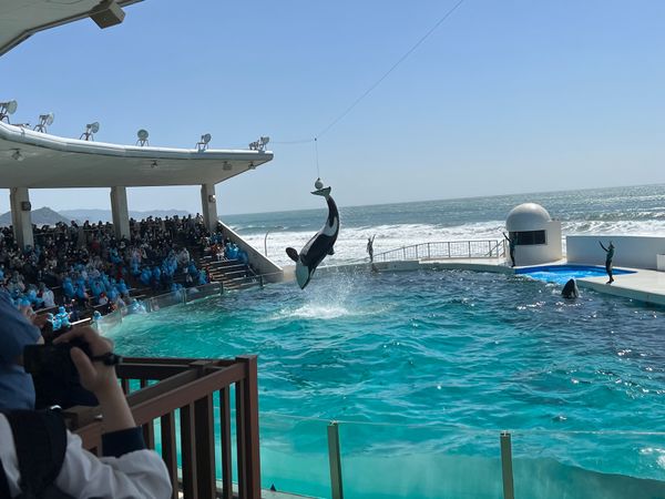 日本・千葉県「鴨川シーワールド」の写真