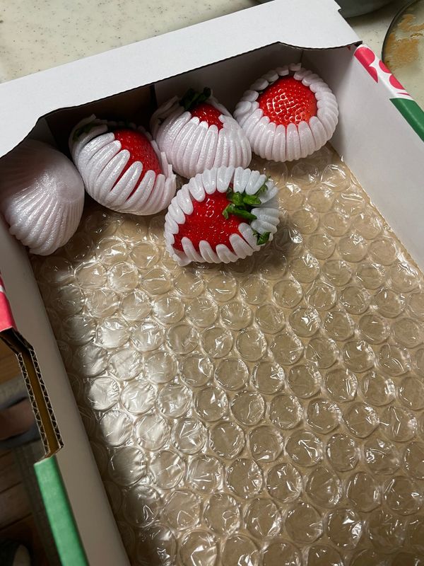 日本・東京都「東京出張」の写真