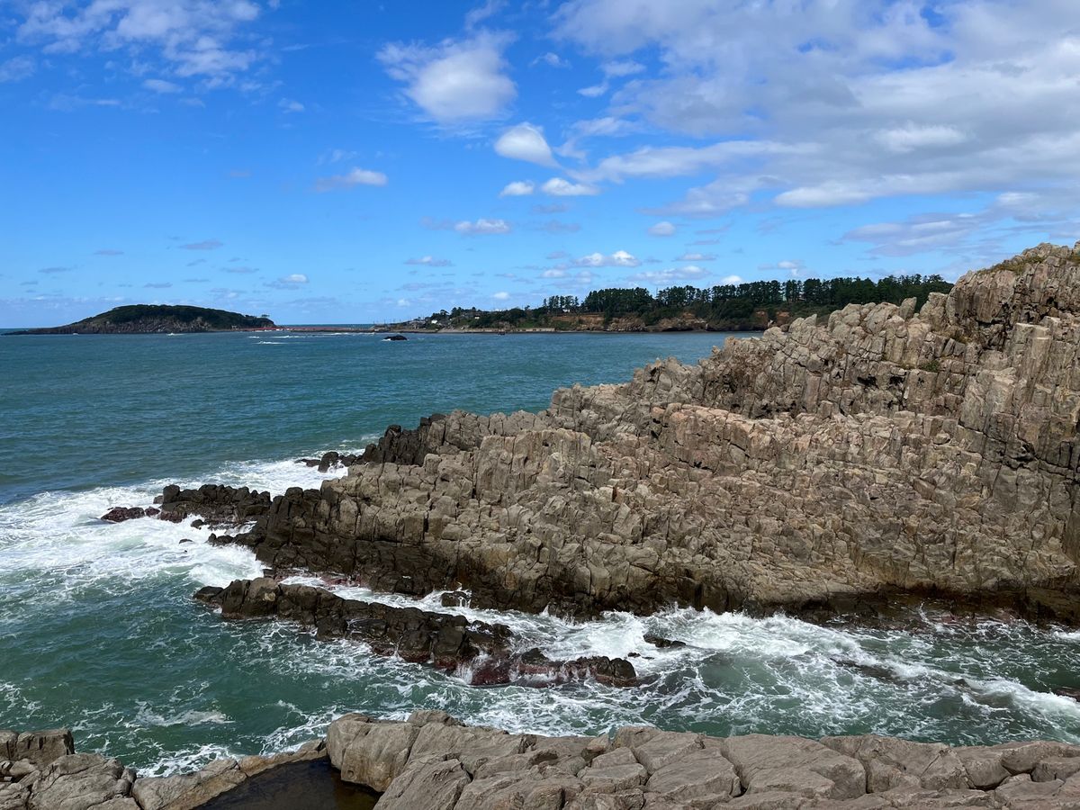 東尋坊
おろし蕎麦