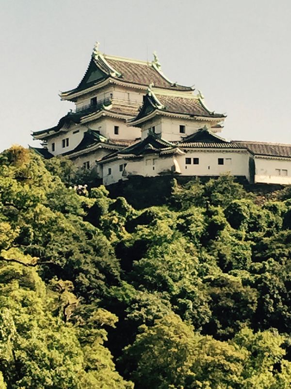 日本・和歌山県「和歌山」の写真