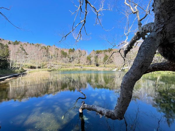 日本・群馬県「万座温泉」の写真