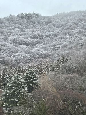 東山温泉♨️