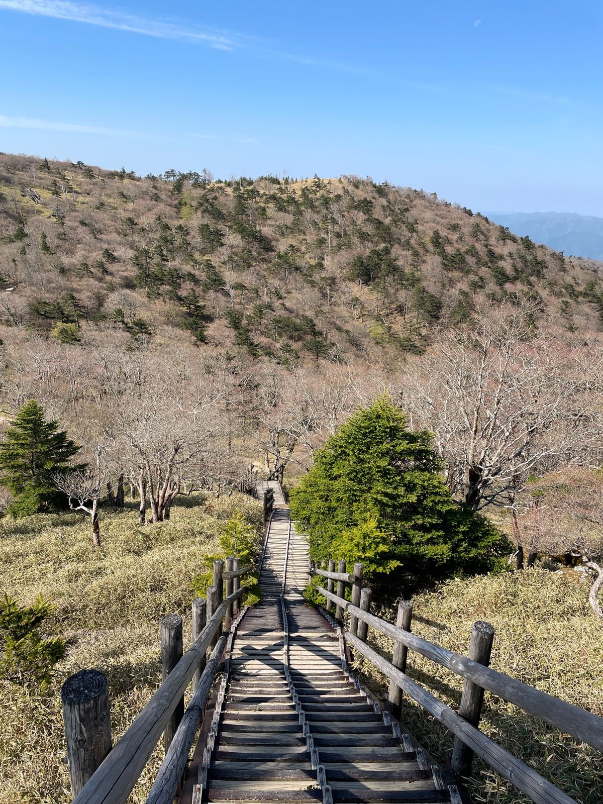 大台ヶ原、日出ヶ岳。この後、大杉谷方面へ。