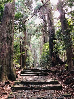 熊野本宮大社、速玉大社、那智大社に繋がる熊野古道（大門坂）