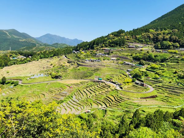 日本・和歌山「熊野古道」の写真