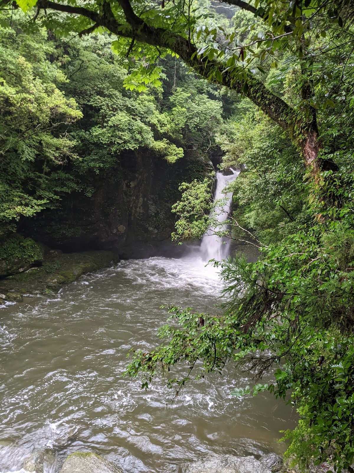 桂浜(龍馬の銅像消えた😭)
仁淀川(前日の雨で仁淀ブルーじゃなかった😭)
...