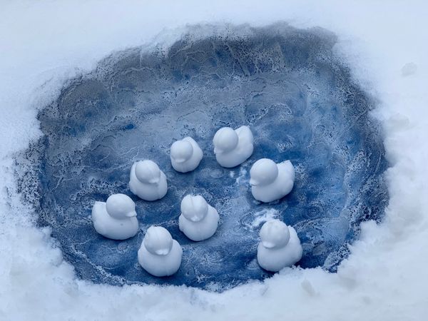 日本・長野県「岐阜合掌村山梨3泊3日」の写真