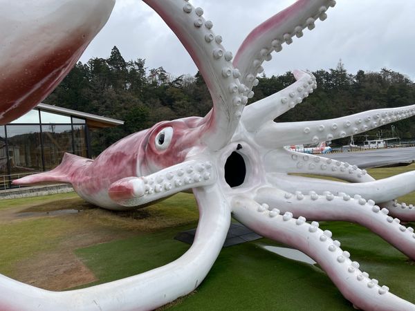 アメリカ(米国)・アンカレッジ「アラスカ」の写真