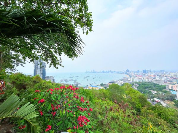 タイ・パタヤ「パタヤ」の写真：久しぶりの海外❗️タイ旅行❗️