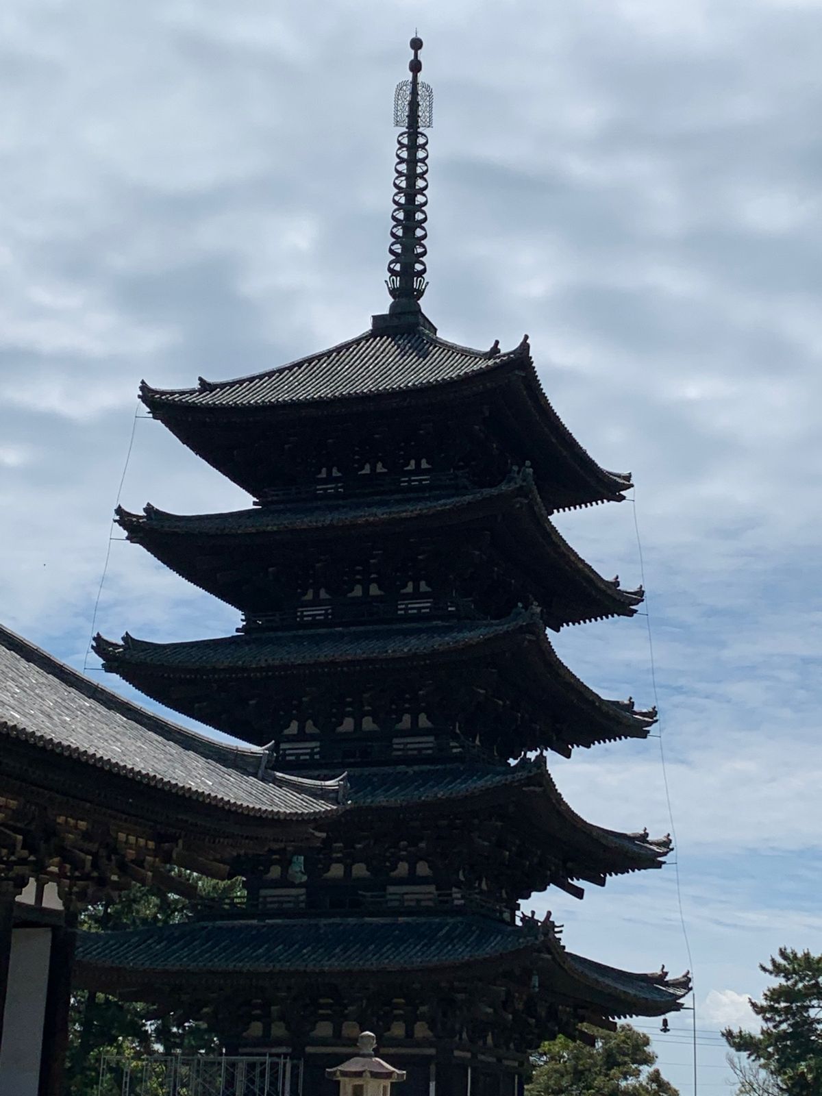 初めての春日大社。
興福寺も何年ぶりだろう…🤔
外国の方も多く、コロナ前に...