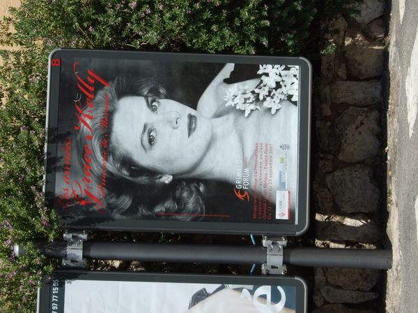 フランス「南仏ステイ　コートダジュール/モナコ」の写真：モナコ

カジノの周りにはスーパーカーが...