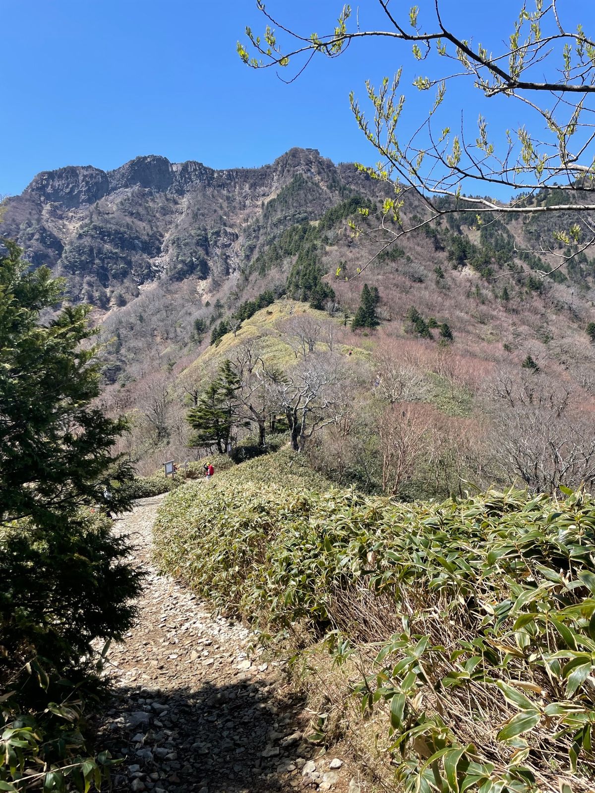 石鎚山道中