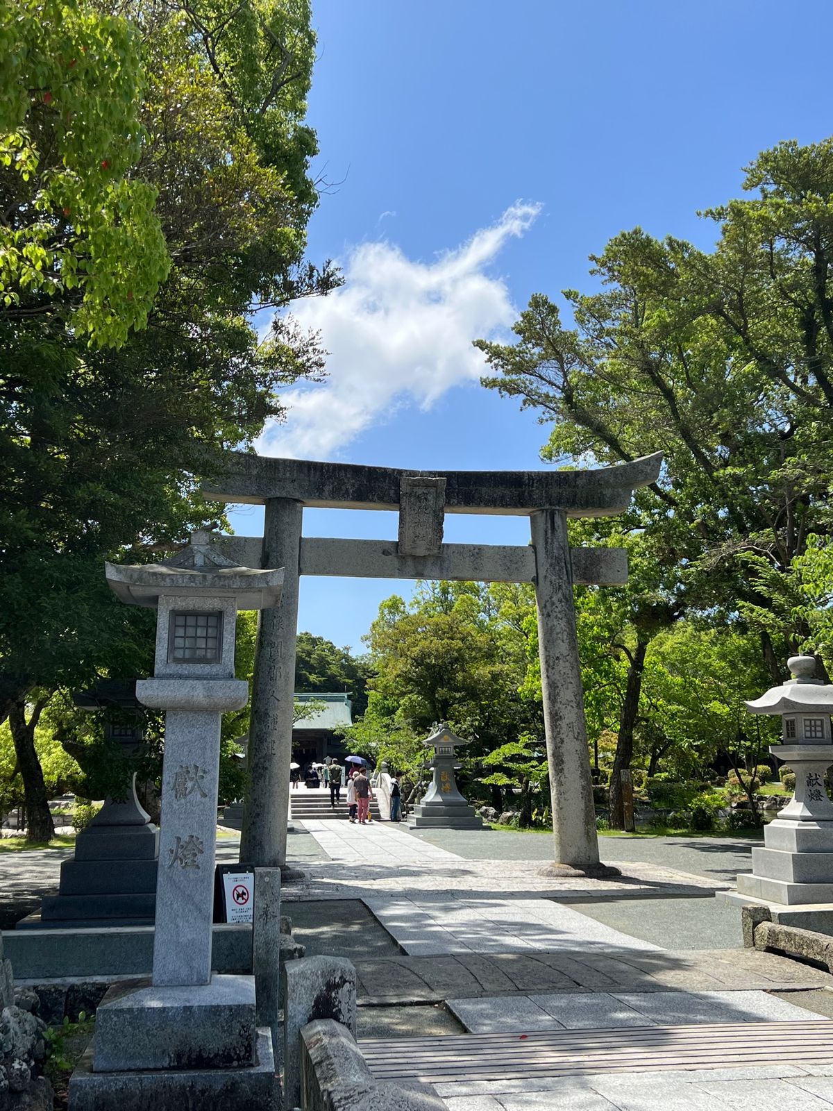 福岡県宗像市
宗像大社辺津宮（世界遺産）
●神門
●第一鳥居
●御神木（楢...