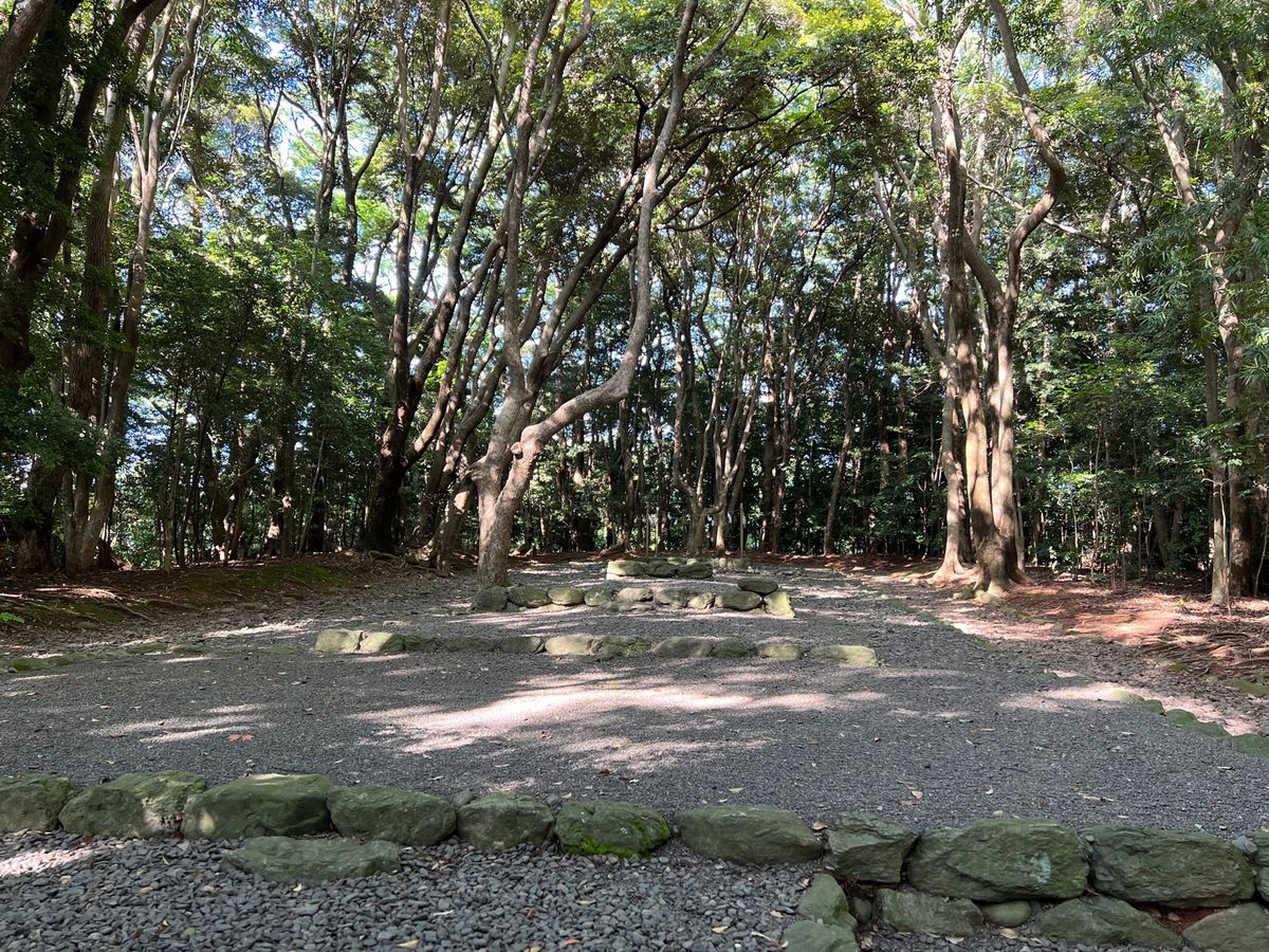 福岡県宗像市
宗像大社辺津宮（世界遺産）
●神門
●第一鳥居
●御神木（楢...